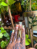 Gold cicada Ring